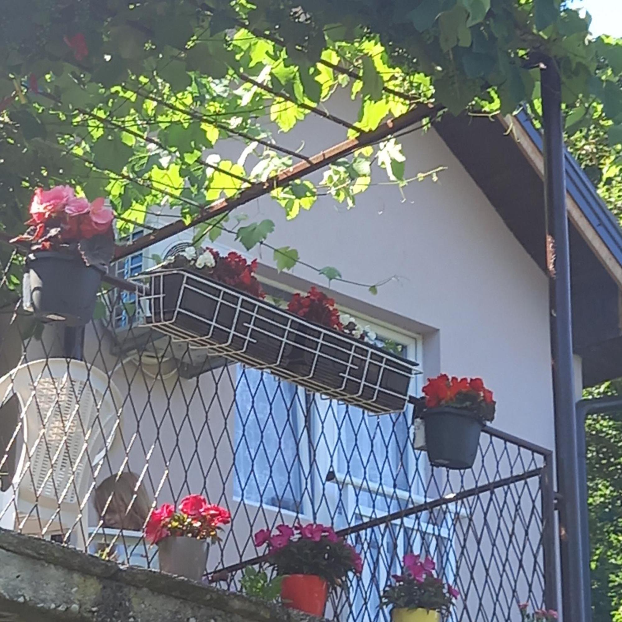 Mala Kuca Lägenhet Foca Exteriör bild